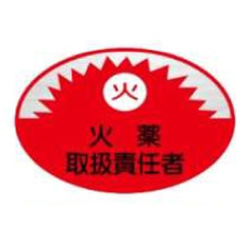 ヘルメット用ステッカー JSグループ