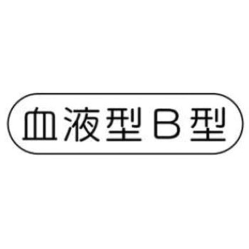 ヘルメット用ステッカー JSグループ