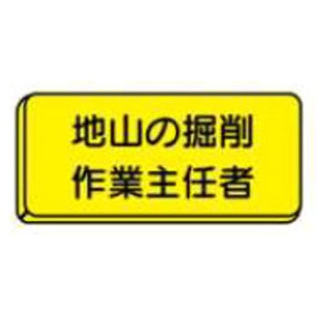 バッジ JSグループ
