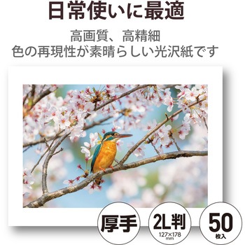 プリンター用紙 写真用紙 光沢 高グレード 厚手 写真プリント用紙 コピー用紙 エレコム
