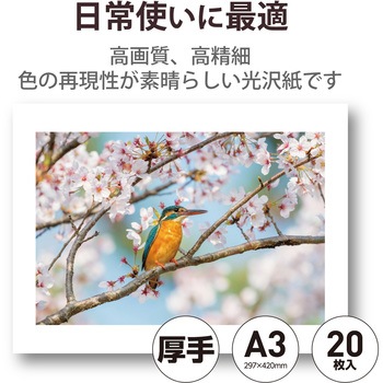 プリンター用紙 写真用紙 光沢 高グレード 厚手 写真プリント用紙 コピー用紙 エレコム