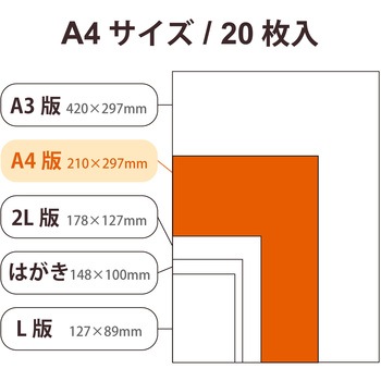 プリンター用紙 写真用紙 光沢 高グレード 厚手 写真プリント用紙 コピー用紙 エレコム