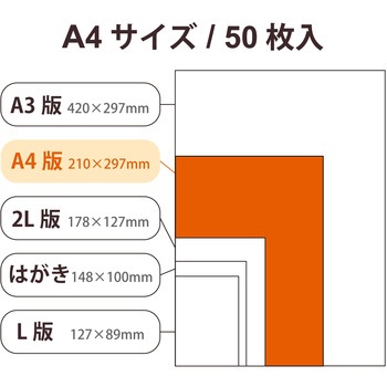 プリンター用紙 写真用紙 光沢 高グレード 厚手 写真プリント用紙 コピー用紙 エレコム