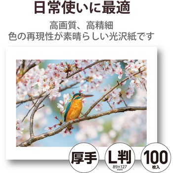 プリンター用紙 写真用紙 光沢 高グレード 厚手 写真プリント用紙 コピー用紙 エレコム