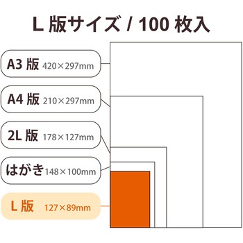 プリンター用紙 写真用紙 光沢 高グレード 厚手 写真プリント用紙 コピー用紙 エレコム
