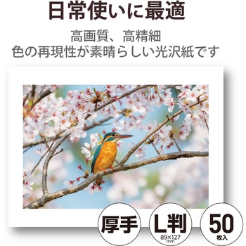 プリンター用紙 写真用紙 光沢 高グレード 厚手 写真プリント用紙 コピー用紙 エレコム