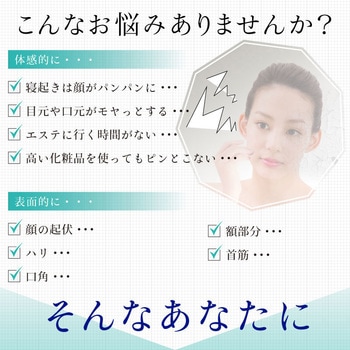 Beapro03 ビープロ マイクロカレント 3D 極小美顔ローラー 大河商事