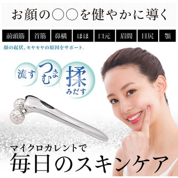 Beapro03 ビープロ マイクロカレント 3D 極小美顔ローラー 大河商事