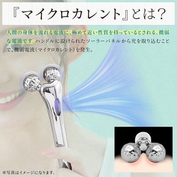 Beapro03 ビープロ マイクロカレント 3D 極小美顔ローラー 大河商事