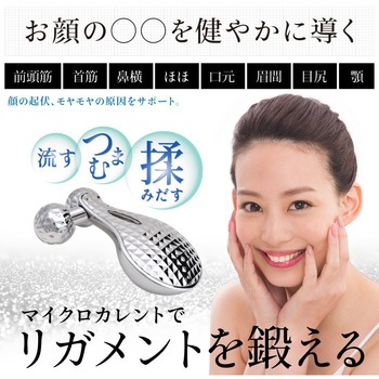 Beapro04 ビープロ マイクロカレント 3D 美顔ローラー 大河商事