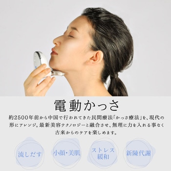 beapro13 ビープロ T字型 多機能美顔器 - 大河商事