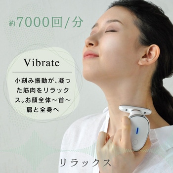beapro13 ビープロ T字型 多機能美顔器 - 大河商事