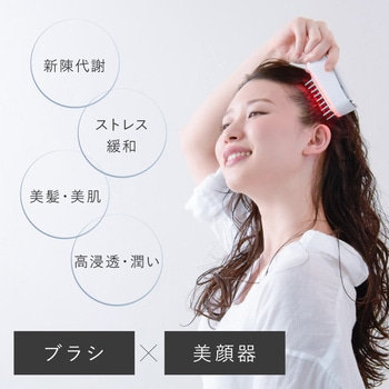 beapro14 ビープロ スカルプαブラシ ブラシ型頭皮ケア 大河商事