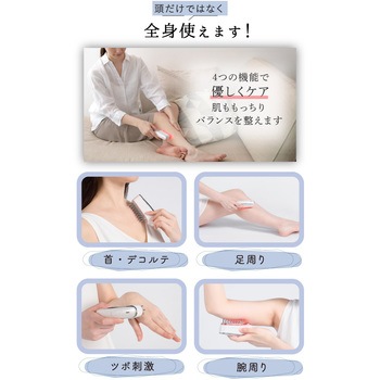 beapro14 ビープロ スカルプαブラシ ブラシ型頭皮ケア 大河商事