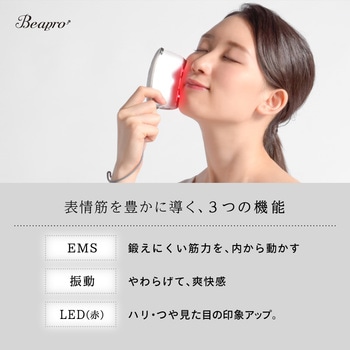 beapro15 ビープロ カッサコア 大河商事