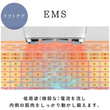 beapro15 ビープロ カッサコア 大河商事