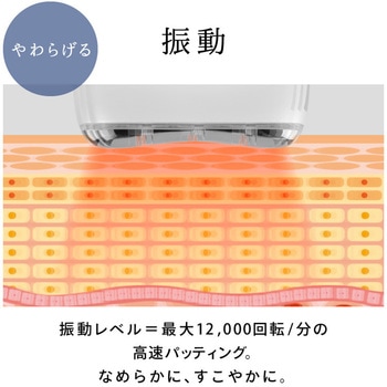 beapro15 ビープロ カッサコア 大河商事
