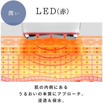 beapro15 ビープロ カッサコア 大河商事