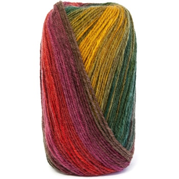 ブリオ 毛糸 - DMC