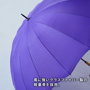 16本骨傘 江戸 60cm 16本骨 - mabu(マブ)