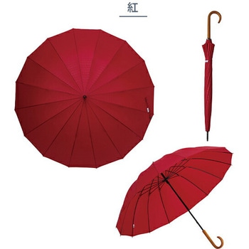 16本骨傘 江戸 60cm 16本骨 - mabu(マブ)