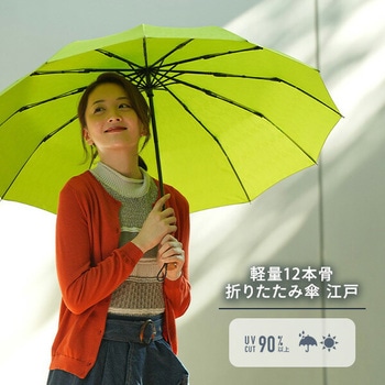 折りたたみ傘 江戸 55cm 12本骨 mabu(マブ)