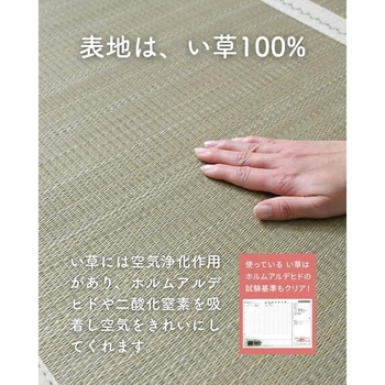 木製 折りたたみベッド & 畳マットレス YAMAZEN(山善)