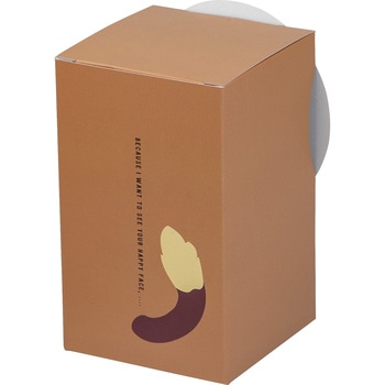 ガオーBOX ヤマニパッケージ