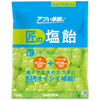 匠の塩飴 SARAYA(サラヤ)