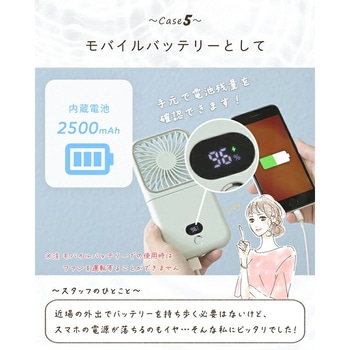 ハンディファン ミラー付き 手持ち扇風機 コンパクト 折りたたみ 卓上扇風機 NAKAGAMI