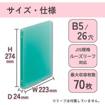 FRIOR バインダー B5 リーフ70枚 リヒトラブ