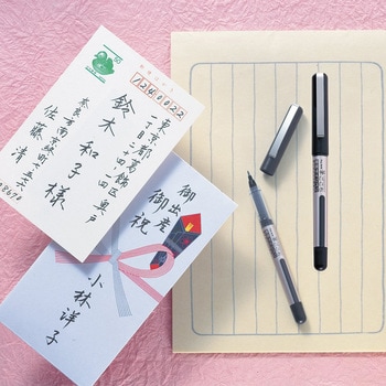 筆ごこち黒セリース10本 呉竹
