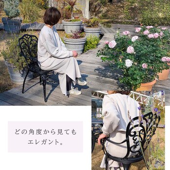 アルミ製アームチェア2脚セット「トルペ」 住まいスタイル