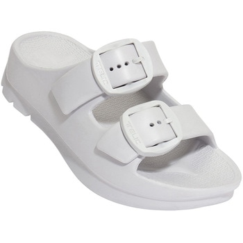 W-BUCKLE2 TELIC