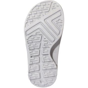 W-BUCKLE2 TELIC