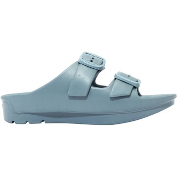 W-BUCKLE2 TELIC