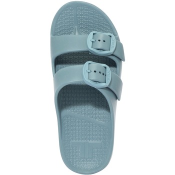 W-BUCKLE2 TELIC