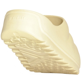 W-CLOUD TELIC