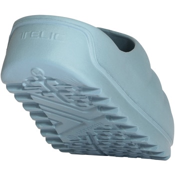 W-CLOUD TELIC