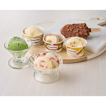 「ハーゲンダッツ」アイスクリームセット ハーゲンダッツ