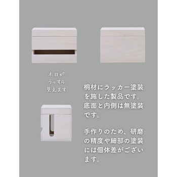 ケーブルボックス フタ付き 電源タップ収納 YAMAZEN(山善)