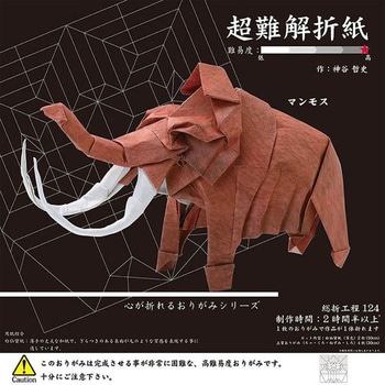 超難解折紙 トーヨー