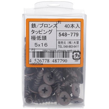 (+)超低頭タッピングねじ 1種A形 (鉄/ブロンズめっき)(パック品) OHSATO(大里)