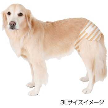 zuttone 介護から生まれた紙おむつ zuttone