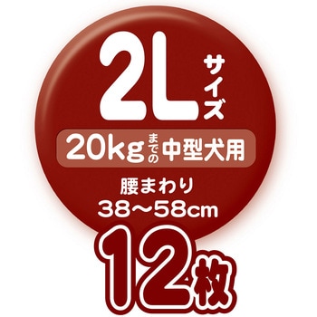 zuttone 介護から生まれた紙おむつ zuttone