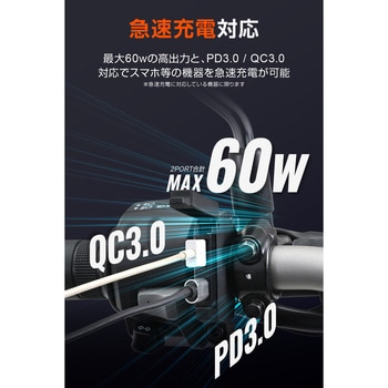 USB電源SLIM PD/QC 2ポート DAYTONA(デイトナ)