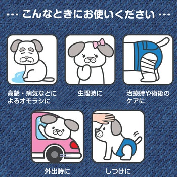 ジーンズ風パンツ ドギーマン