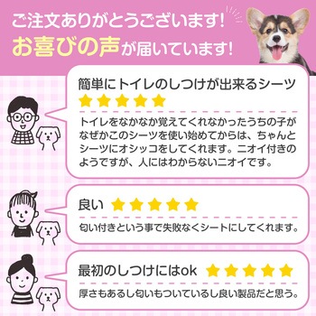 ペットプロ かんたんしつけシーツ ペットプロジャパン