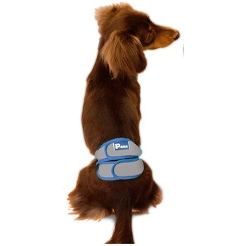 男の子のためのマナーホルダーActive P.one