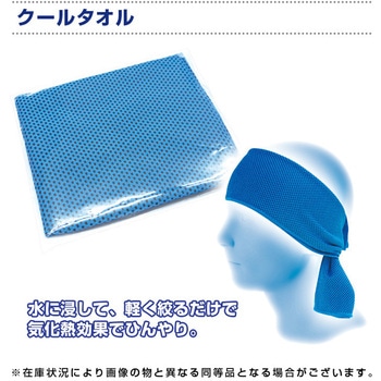 ハチ対策キット ブレイン